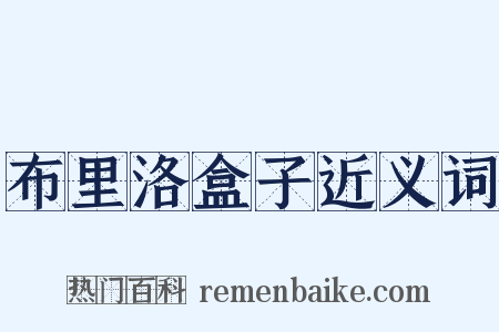 布里洛盒子近义词是什么意思的图片